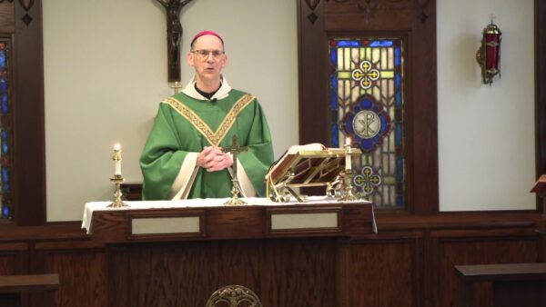 Catholic Mass- Fifteenth Sunday in Ordinary Time