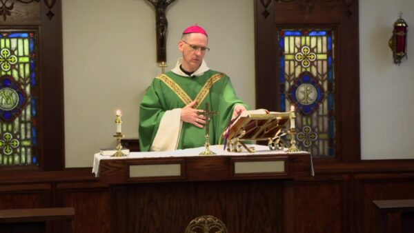 Catholic Mass- Sixteenth Sunday in Ordinary Time