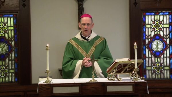 Catholic Mass- 21st Sunday in Ordinary Time