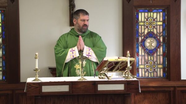 Catholic Mass- 23rd Sunday in Ordinary Time