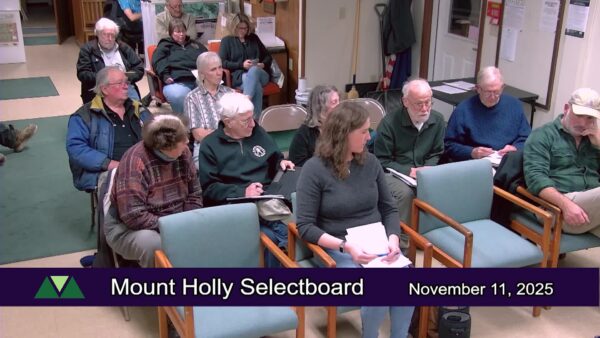 Mount Holly Selectboard 11/11