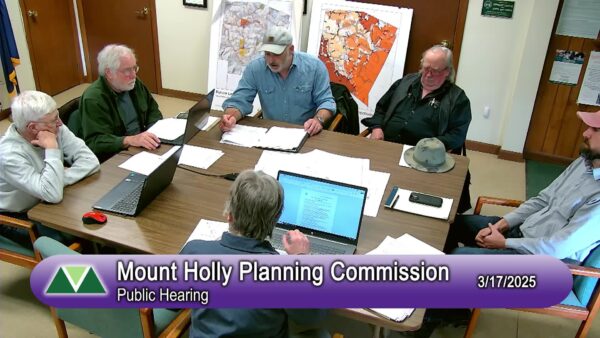 Mount Holly Planning Commission Public Hearing 3/17
