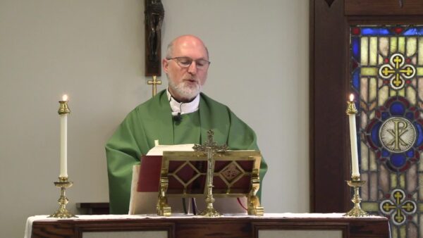 Catholic Mass- Fifteenth Sunday in Ordinary Time