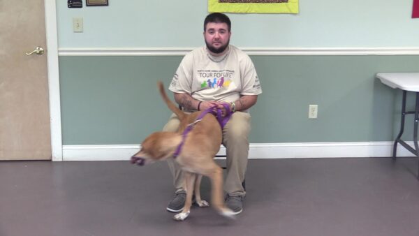 Springfield Humane Society- August 2026