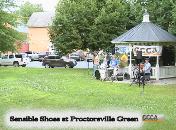 Summer Concert Series- Sensible Shoes