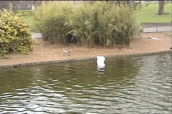 Springtime in London 2005