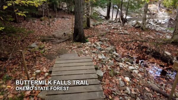 Buttermilk Falls Trail Okemo State Forest