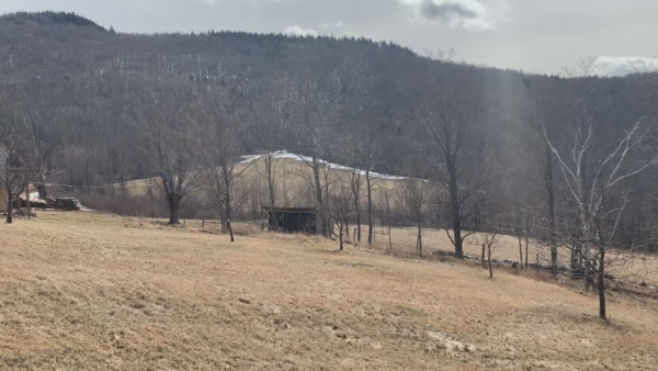 Nearby Nature- Vernal Pools